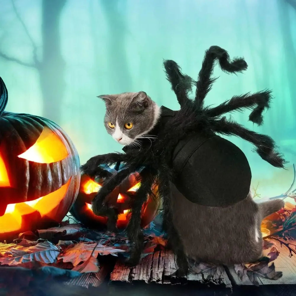 Spider Costume for Dogs & Cats – Adjustable Velcro Halloween Pet Outfit