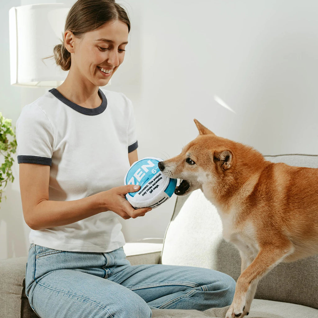 Mint Tin Parody Plush Dog Toy – Squeaky & Crinkle