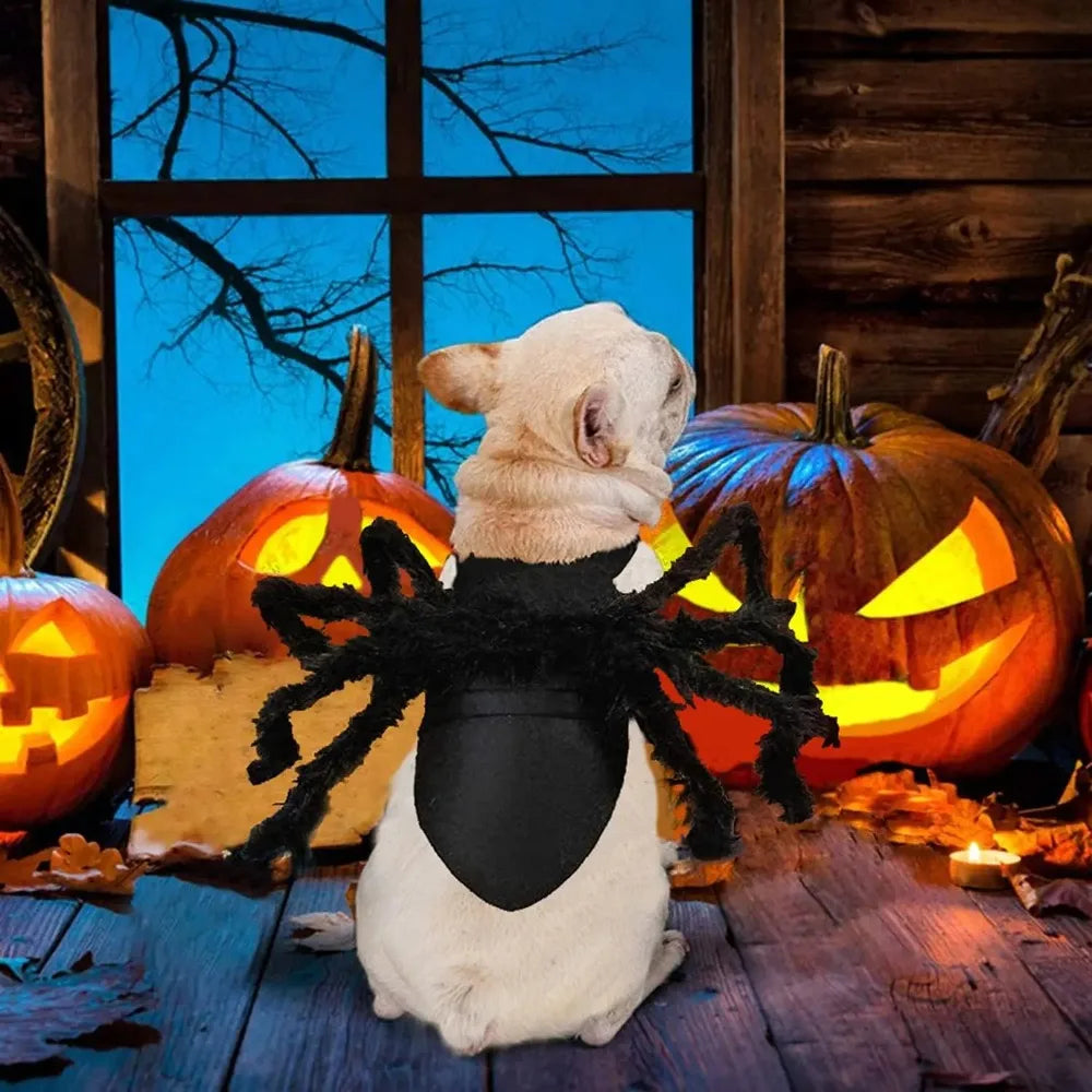 Spider Costume for Dogs & Cats – Adjustable Velcro Halloween Pet Outfit