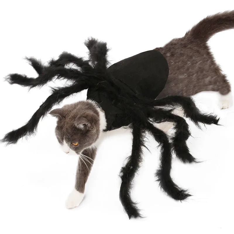 Bat Wings Costume for Cats & Small Dogs – Halloween Pet Dress, S–M