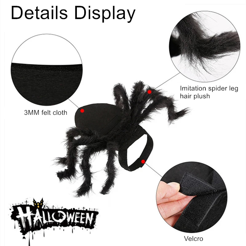 Bat Wings Costume for Cats & Small Dogs – Halloween Pet Dress, S–M