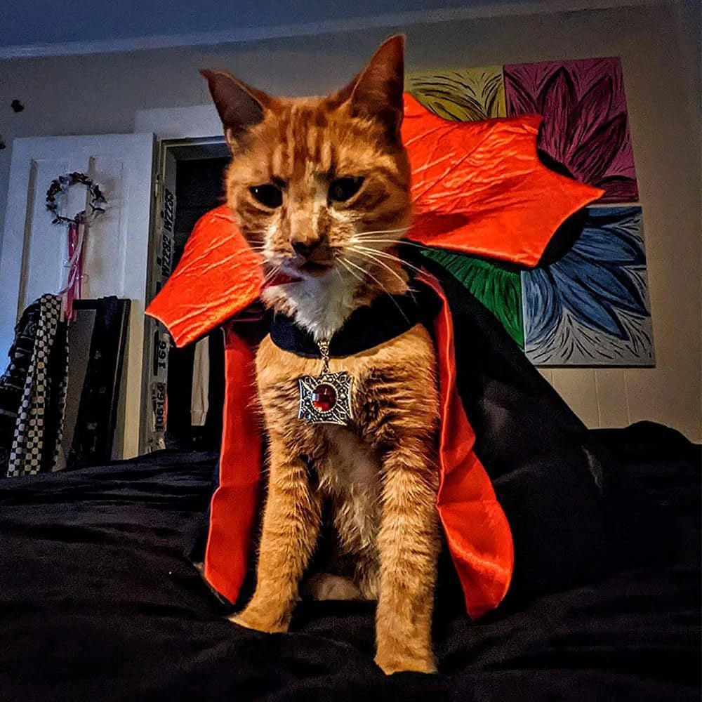 Halloween Costumes for Cats & Small Dogs – Cloaks & Hat, 5 Styles