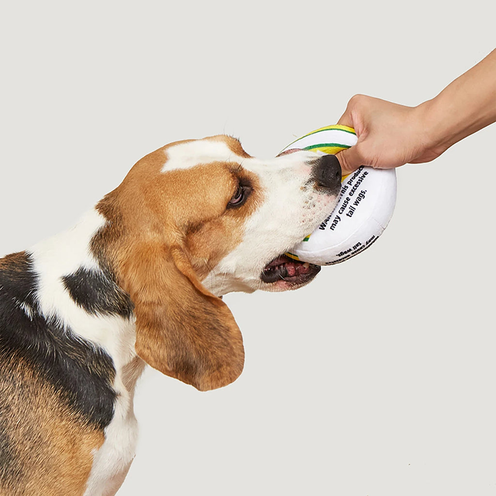 Mint Tin Parody Plush Dog Toy – Squeaky & Crinkle