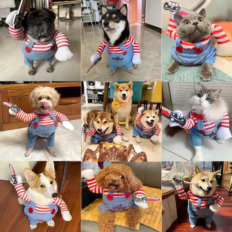 Halloween Dog Costume – Adjustable, Small to Large Dogs