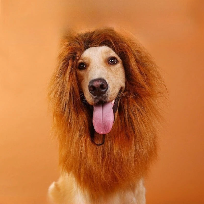 Lion Mane Dog Costume – Wig, Hat & Tail for Medium to Large Dogs