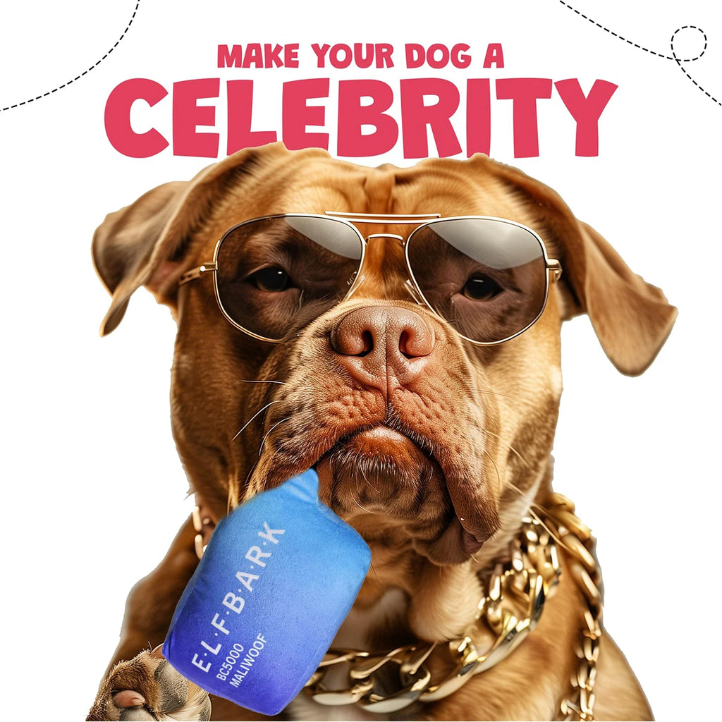 Parody Plush Squeaky Dog Toy – 19cm, Small to Large Dogs