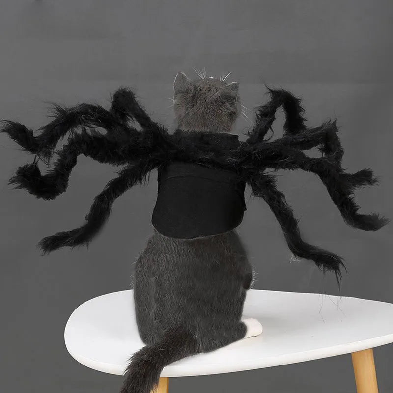 Bat Wings Costume for Cats & Small Dogs – Halloween Pet Dress, S–M