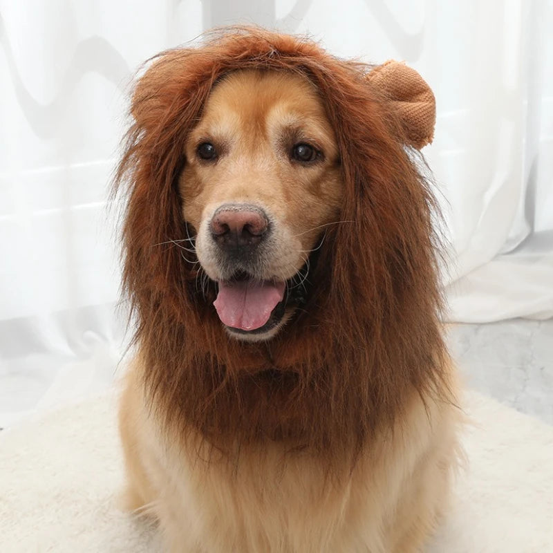 Lion Mane Dog Costume – Wig, Hat & Tail for Medium to Large Dogs