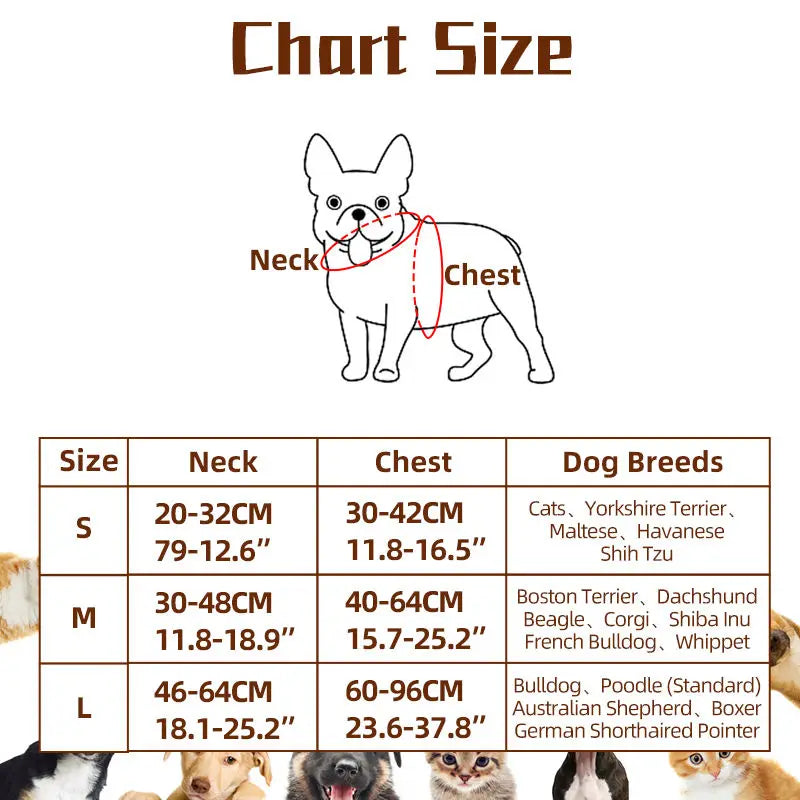 Dog Rider Costume for Large Dogs – Funny Halloween Pet Outfit, Black, S–L