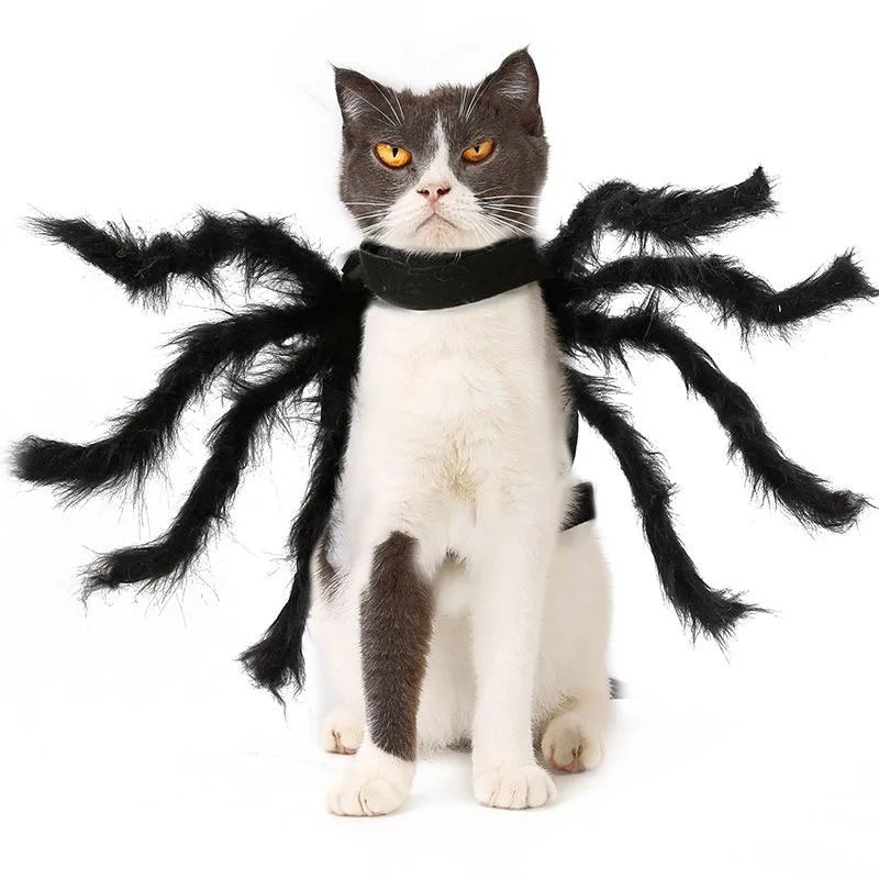 Bat Wings Costume for Cats & Small Dogs – Halloween Pet Dress, S–M