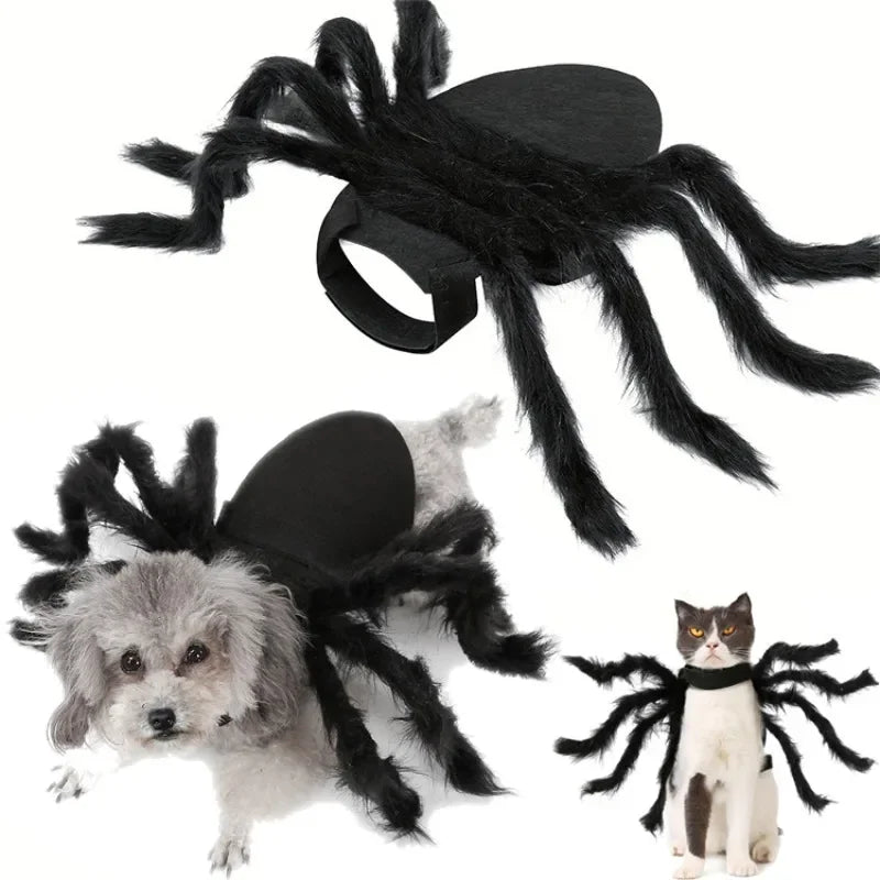 Bat Wings Costume for Cats & Small Dogs – Halloween Pet Dress, S–M