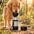 Golden retriever drinking from a portable dog travel water bottle on a woodland trail
