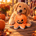Golden retriever puppy playing with a Halloween plush octopus toy on a pumpkin porch