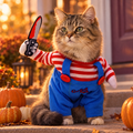 Tabby cat wearing a Halloween jumpsuit costume beside small pumpkins
